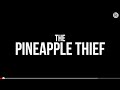 The Pineapple Thief - Magnolia (teaser) 