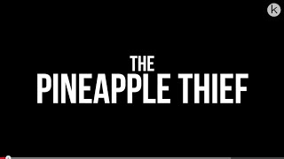 The Pineapple Thief - Magnolia (teaser)