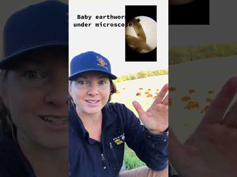 Dung piles are mini ecosystems! Stop running over them!