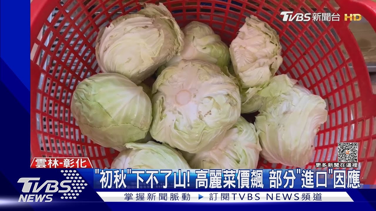「一顆高麗菜價錢可吃牛排」 便當店換菜因應