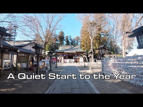 A Quiet New Year in Japan🇯🇵: First Shrine Visit, Simple Cooking, and a Sleeping Cat