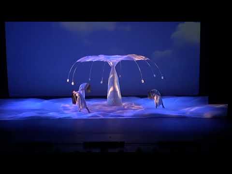 "Botanica - Season 2" dei Momix dal 12 al 14 maggio al Teatro Comunale di Vicenza