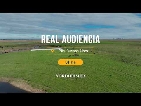 Real Audiencia, Pila, Buenos Aires - 611 ha | Campo mixto en venta
