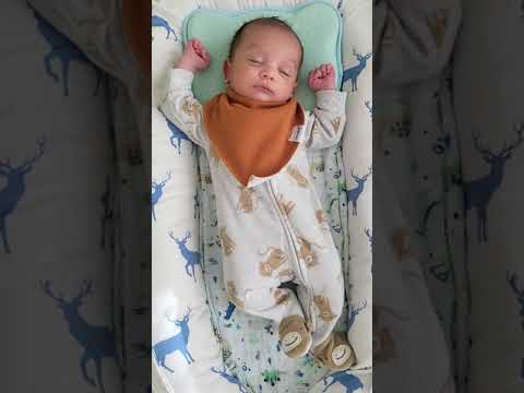 Day 32 - Newborn progress - love and we