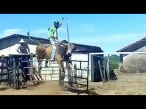 Touro Psicopata Cia 2E