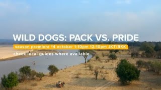 [Promo] Love Nature | WILD DOGS: PACK VS. PRIDE