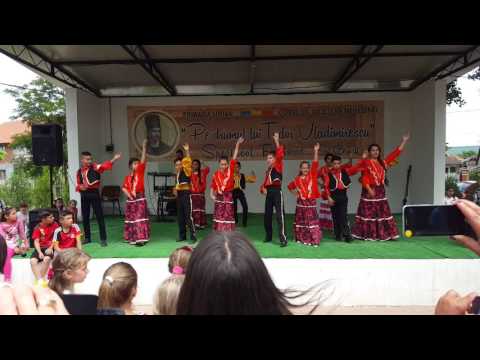 Sarbatoarea''Tudor Vladimirescu.