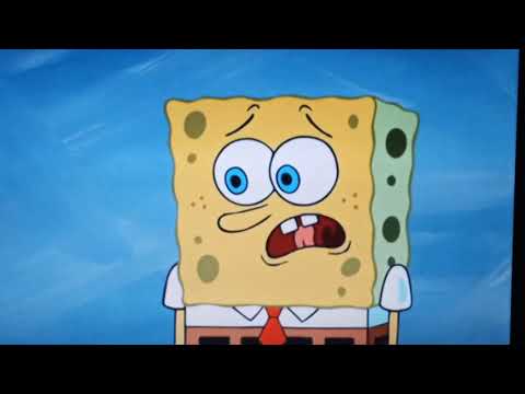i memorized the spungbop speech