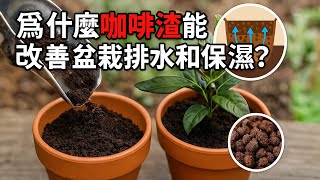 為什麼很多花友愛用咖啡渣？顆粒結構就是改善盆栽環境的關鍵！