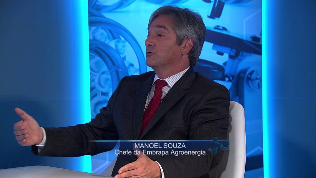 O uso da biomassa é alternativa para a produção de energia