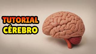 🔴 FAÇA um CÉREBRO Humano Miniatura - Tutorial Fácil Biscuit, Pasta Americana, Clay ou Plastilina DIY