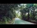 Agumbe Rain Forest