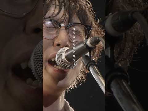 #素晴らしき日常 〜LIVE Clip〜 @YOU CAN BREAK THE SILENCE IN BUDOKAN【15th ANNIVERSARY】