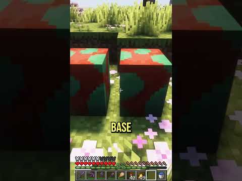 Capture all passive mobs in Minecraft part 21#shorts