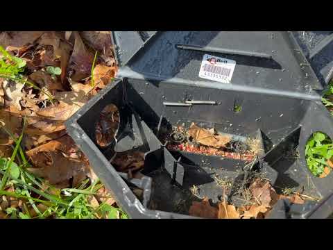 Rodent Bait Station Infested with Ants in Bayville, NJ