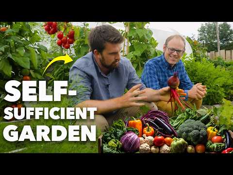 Tiny Yard Container Garden How to Grow 1 000 of Food