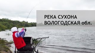 Рыбалка на сухоне в туровце