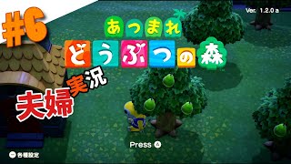 あつ森　初見が一番楽しい夫婦でまったり実況#6