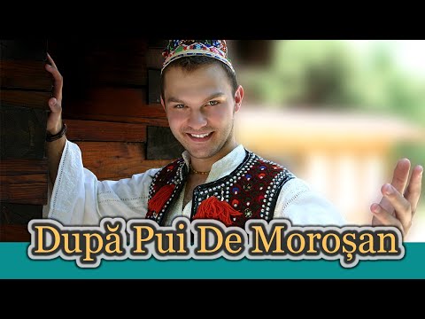 Ionica Morosanu - Dupa pui de morosan | Single oficial