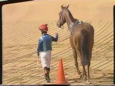 Westpoint - André Steenkamp - MR90 Vaal Sand Handicap – A Race No.4 1200M