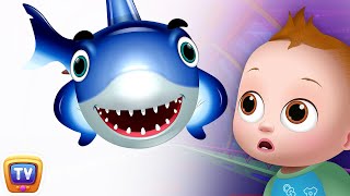 Baby Shark - Great White Shark - Learn Shark Names For Children - ChuChuTV Nursery Rhymes &amp; Songs