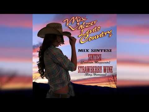 Dj Denny Dellavalle - MIX SINTESI  valzer lento country