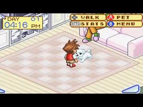 dogz game boy advance cheats