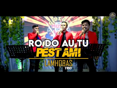 RODO AU TU PESTAMI COVER LAMHOBAS TRIO ( LIVE GMP )