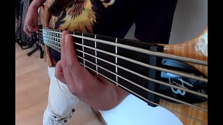Die Toten Hosen - Testbild [Bass Cover]