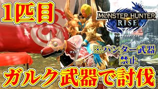 【モンハンライズ】 【ハンター武器禁止】 1匹目、ガルクの力でモンスターを狩っていく!! 【MHRise】
