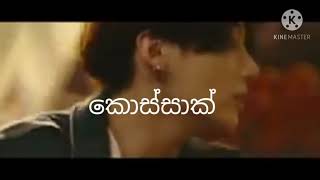 BTS Sinhala mishard lyrics by sl army