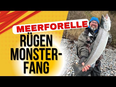 Sea trout caught! My first monster catch on the Baltic Sea (Rügen