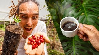 How To Make Coffee From Scratch In Colombia