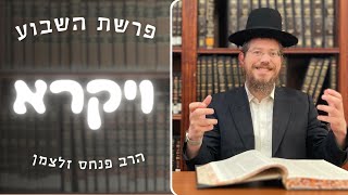 ‏רעיונות לפרשת השבוע ויקרא || שיעור פורים #Zaltsman
