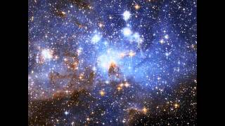 The Light - Funkommunity