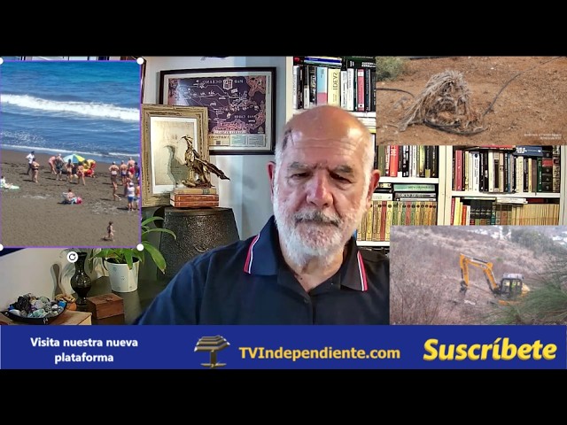 Ignorancia, ineptitudes y poco amor por Canarias