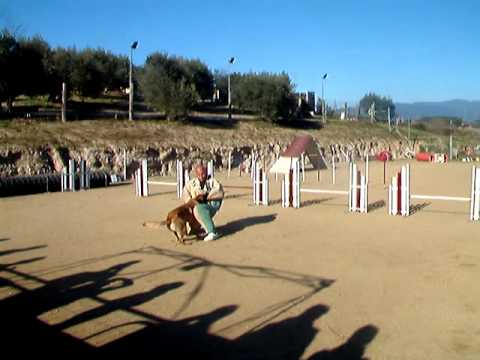 FAKIR DU BANC DES HERMELLES