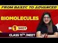 Biomolecules In One Shot NEET Class 11th Boards Victory Batch