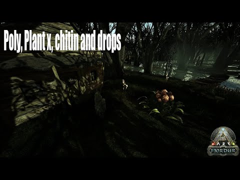 Fjordur: Poly swamp with another bug cave and artifacts