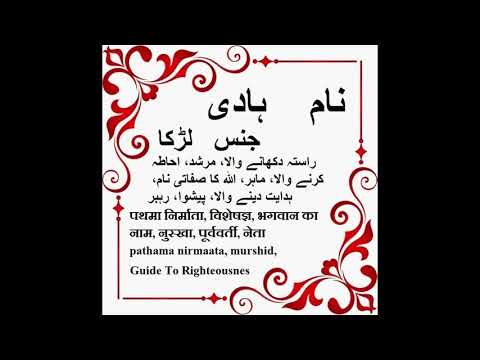 Hadi Name Meaning in Urdu - Islamic baby names