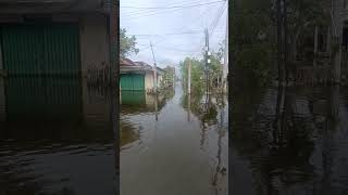 Download lagu Banjir prampelan #putusayung #subscribe #shorts #youtubeshorts #trending #vlogab #viral mp3