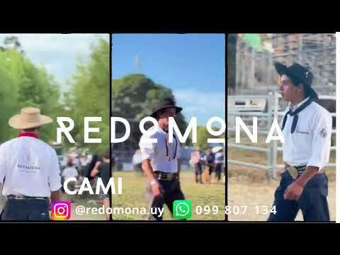 Festival de Villa Del Rosario 2025 - Dia Domingo