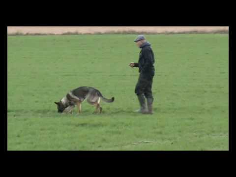 Jabina Gustav, 9 month, Tracking