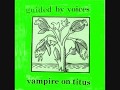 Guided by Voices - Sot