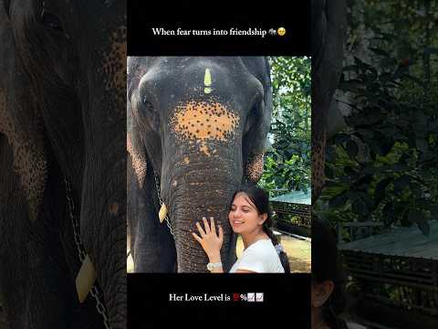 ❌Don’t miss “The End🐘🥹”…#kumarkiruthiga #kumkicouple#trendingcouple #thekkadi #elephantlovers
