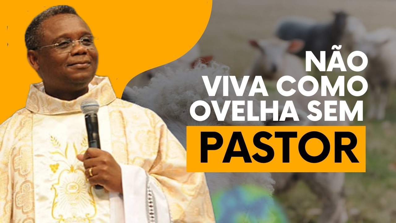 Não viva como ovelhas sem pastor  | Padre Jose Augusto Oficial