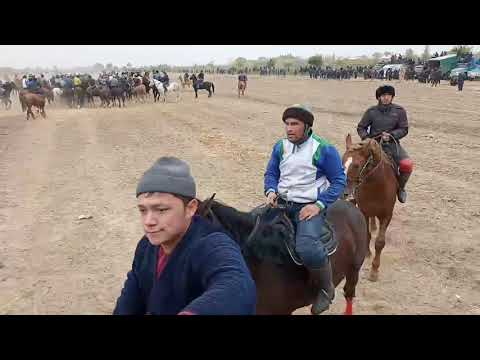 BOYOVUTDAN koʻpkari. 31.10.2021.