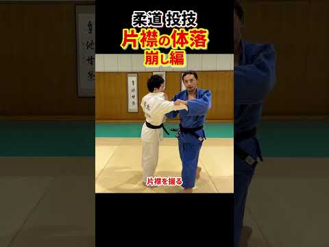 【重要ポイント！】片襟の体落で投げるためのはじめの一歩！崩しを解説　#柔道 #judo #投技 #立技 #体落 #片襟 #tai-otoshi #崩し #shorts