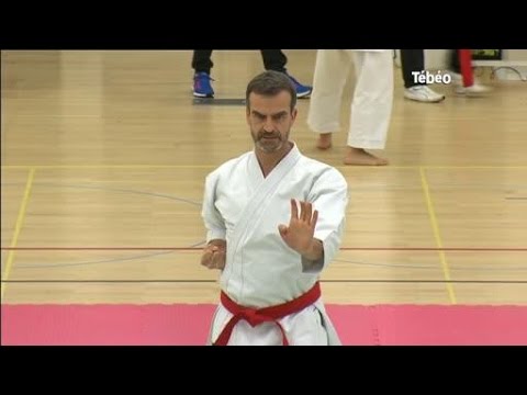 Karaté : Le Championnat de Bretagne 2017 (Finistère)