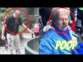Funny Animals Pooping Everywhere Compilation Try Not To Laugh At Poop